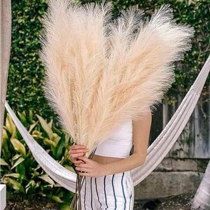 10 Pack Bundle | Beige Cream ADJUSTABLE Artificial Large Faux PAMPAS GRASS 43” /